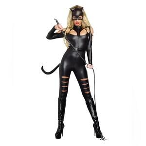 NEW Dreamgirl Cat Fight Catwoman Costume Size Small